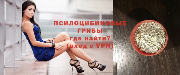 дживик Алзамай