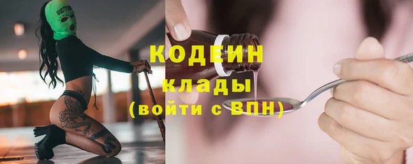 прущие грибы Болхов
