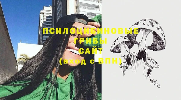 амфетамин Алексеевка