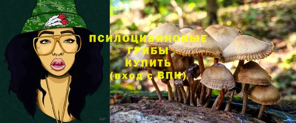 твердый Абаза