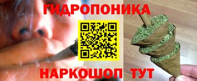 герыч Новодвинск