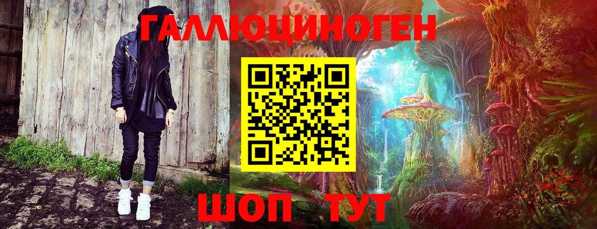 Тихвин  Галлюциногенные грибы Psilocybine cubensis  Вход с VPN 